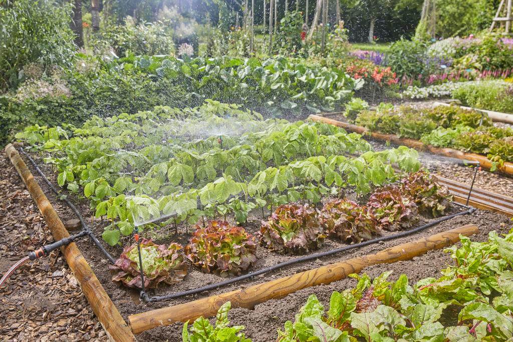 Gardena Micro-Drip Start Set for vegetable/Flower Patches 60m²