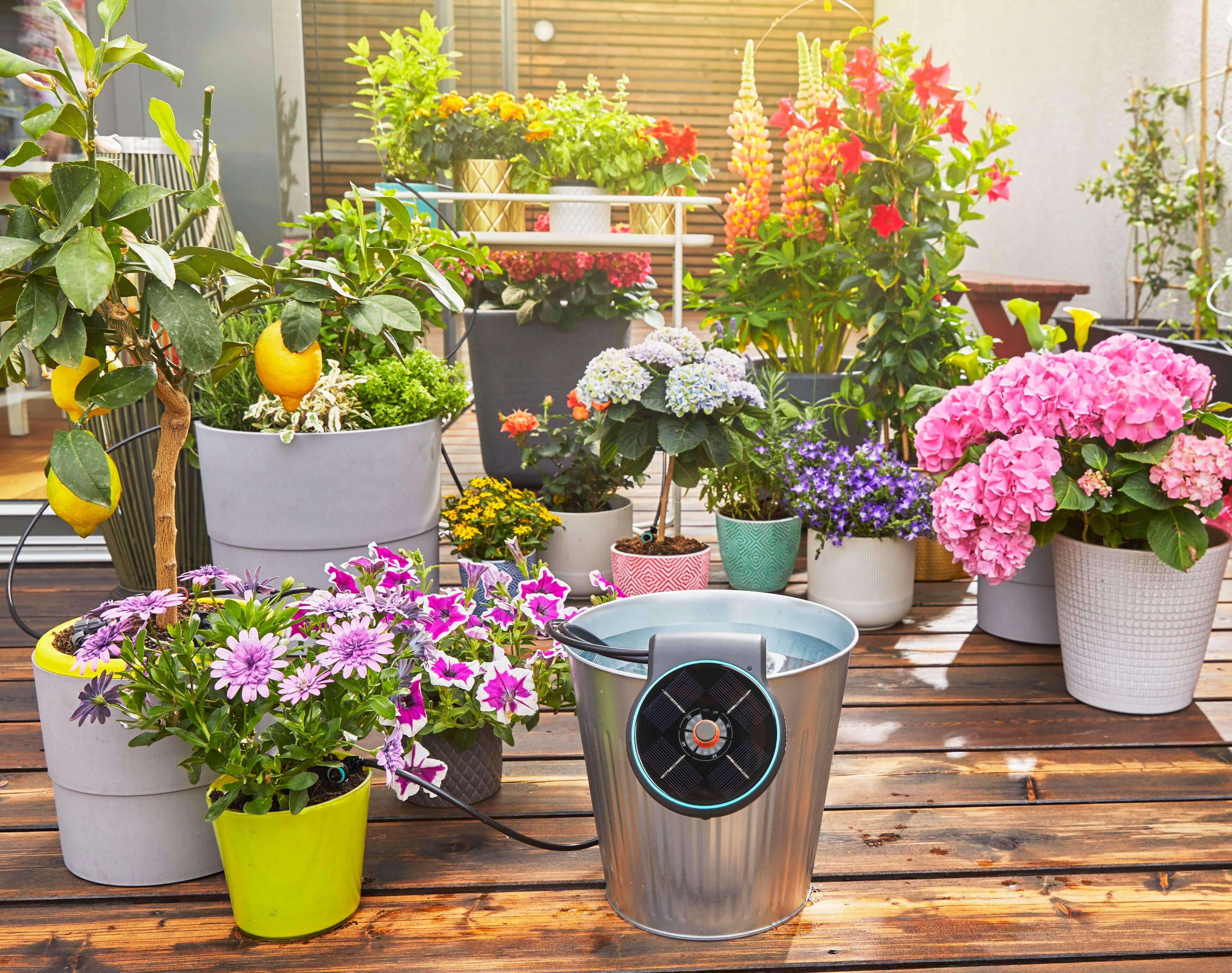 gardena aquabloom automatic plant watering system Gardena Solar powered irrigation aquabloom set