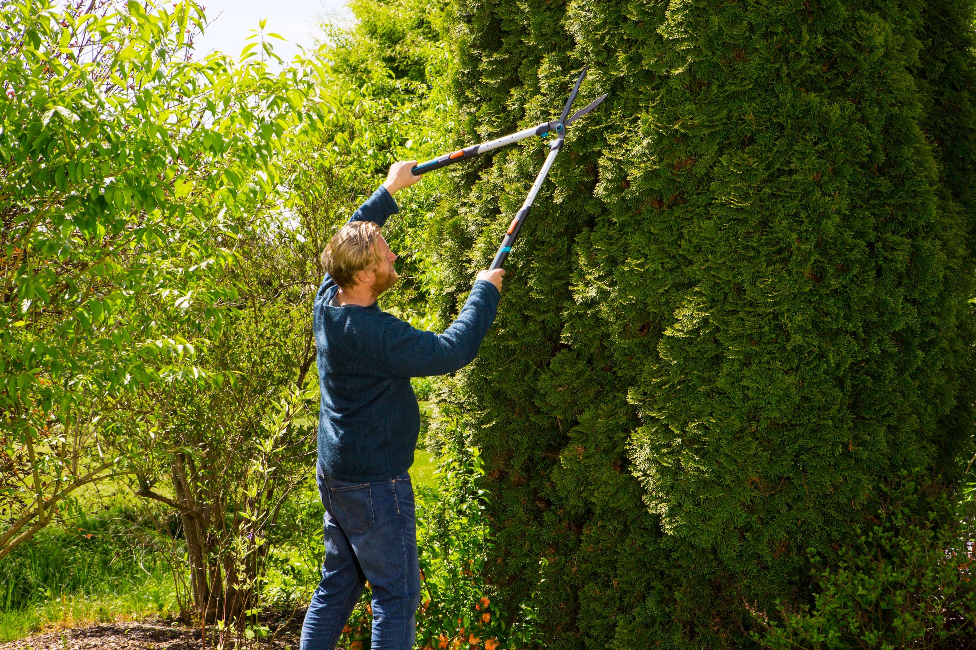 Hedge Clippers Telescopic
